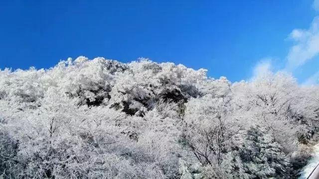 救援居曼基女孩
