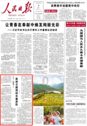 拯救受伤的猫