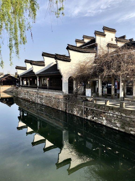逃离金色的沙漠